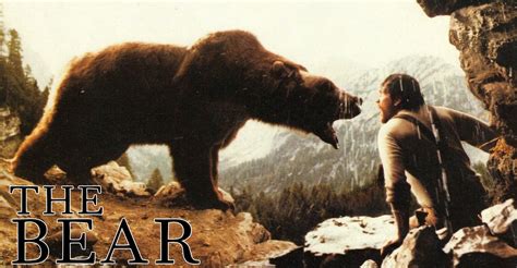 the bear streaming sub ita|the bear streaming online.